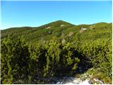 Planina Ravne - Kapelica na Molički planini